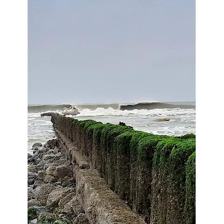 Southwind - House Romantic * Norderney